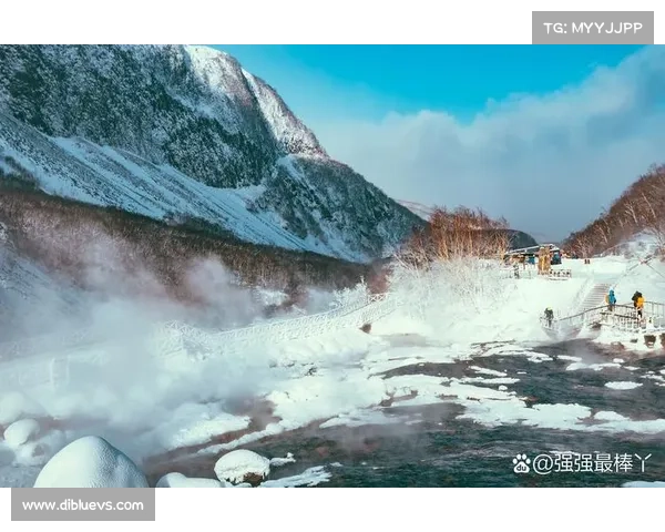 冬日湖畔漫步之旅：在宁静与诗意的氛围中感受冬季的独特魅力