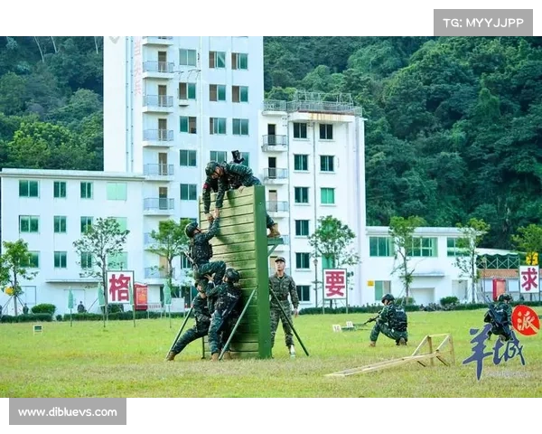 七个关键步骤提升圣枪游侠游戏技巧助你成为战场高手 七个关键步骤提升圣枪游侠游戏技巧助你成为战场高手